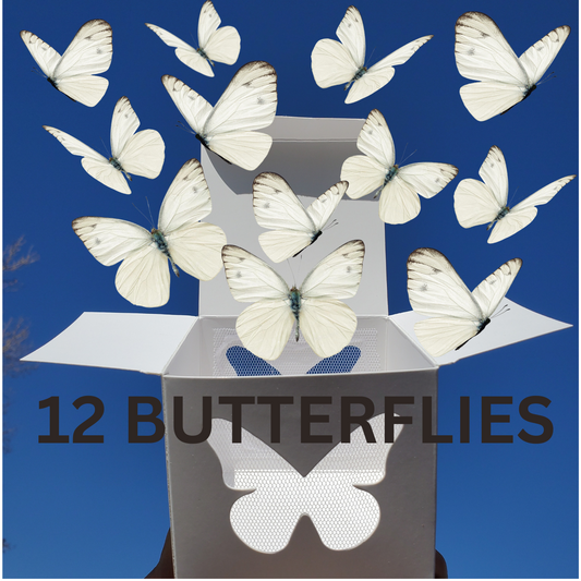 White Butterflies Easy Release Box
