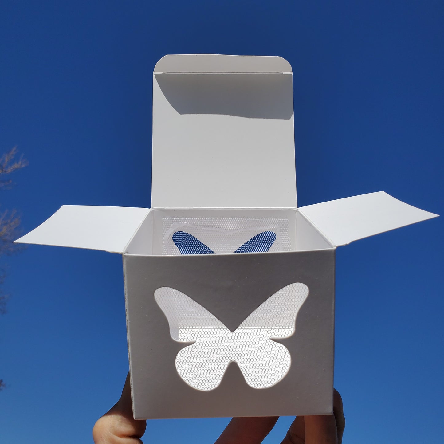 White Butterflies Easy Release Box
