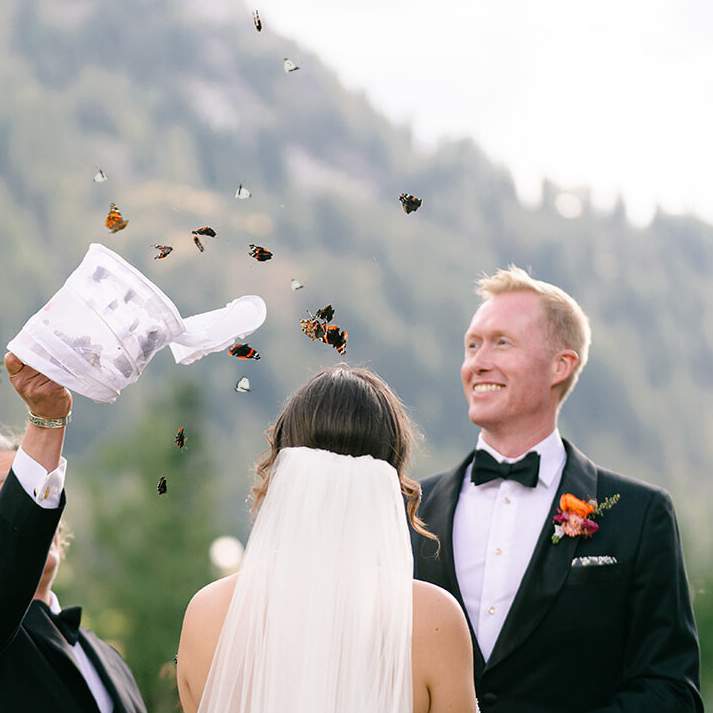Mixed Multi-Color Butterfly Release
