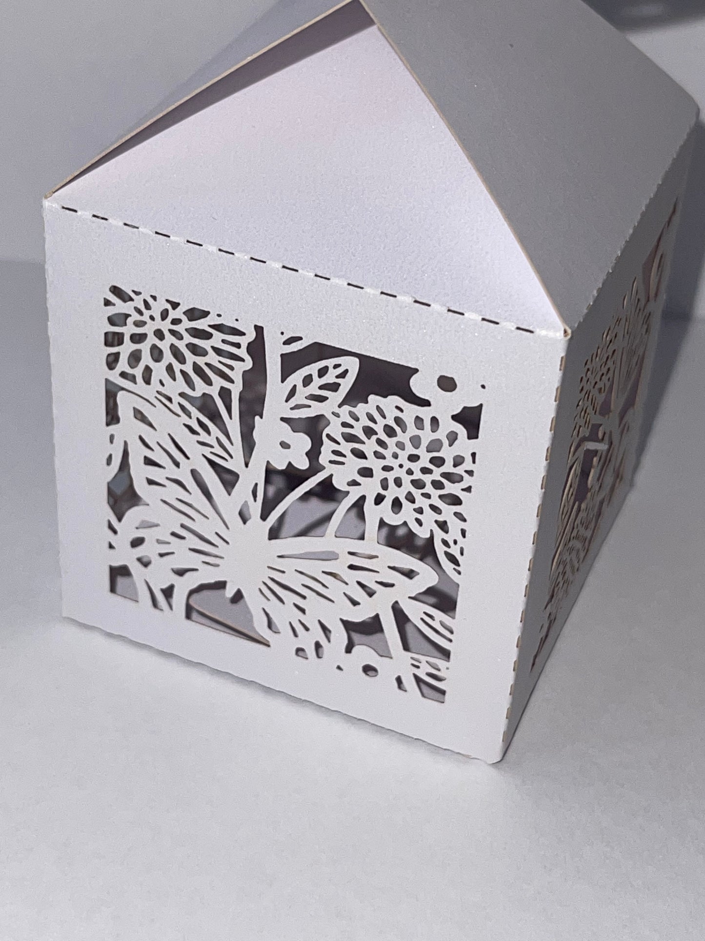 White Butterflies for Individual Release