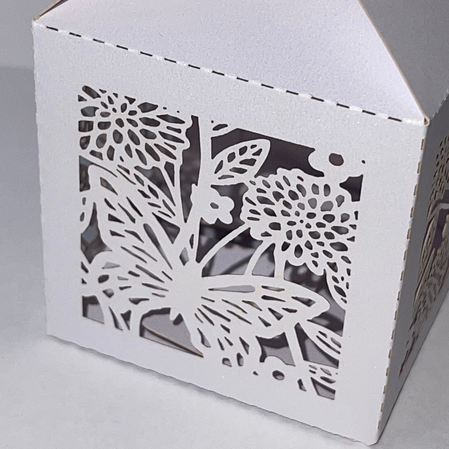 Individual Release Boxes for Mixed Butterflies