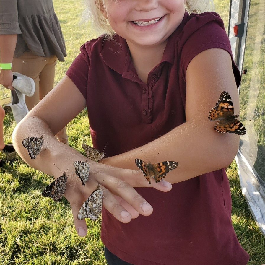 Butterfly Party House For Birthdays or Special Events