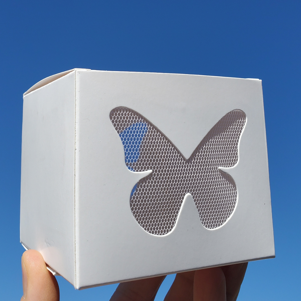 White Butterflies Easy Release Box