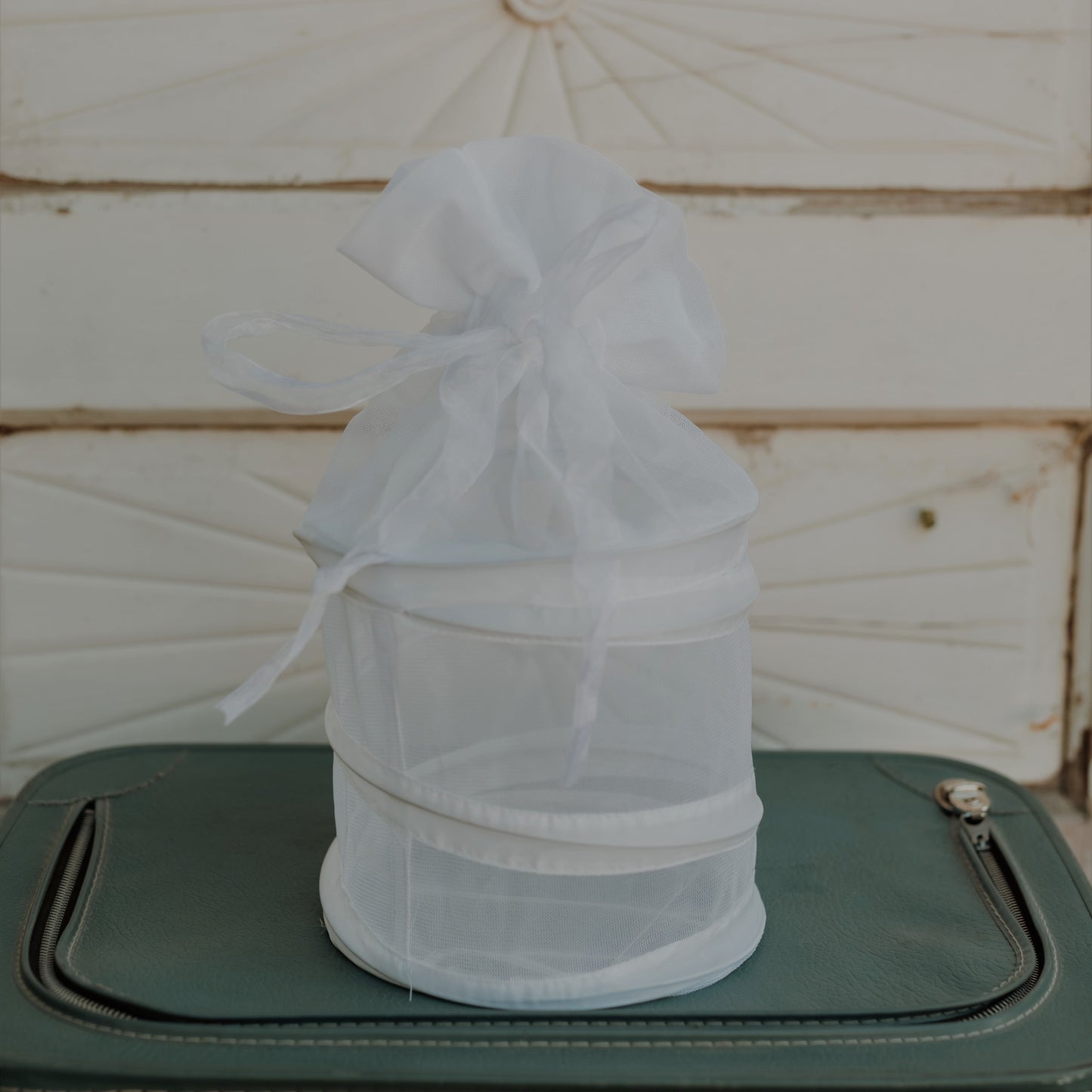 White Butterflies for Memorials and Funerals