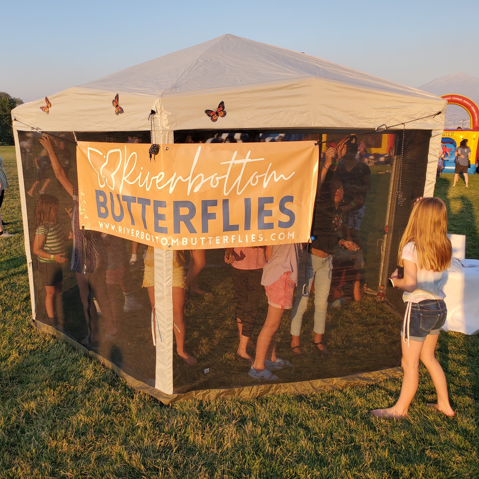 butterfly tent Butterfly Party House For Birthdays or Special Events (Local Pickup On – Riverbottom Butterflies