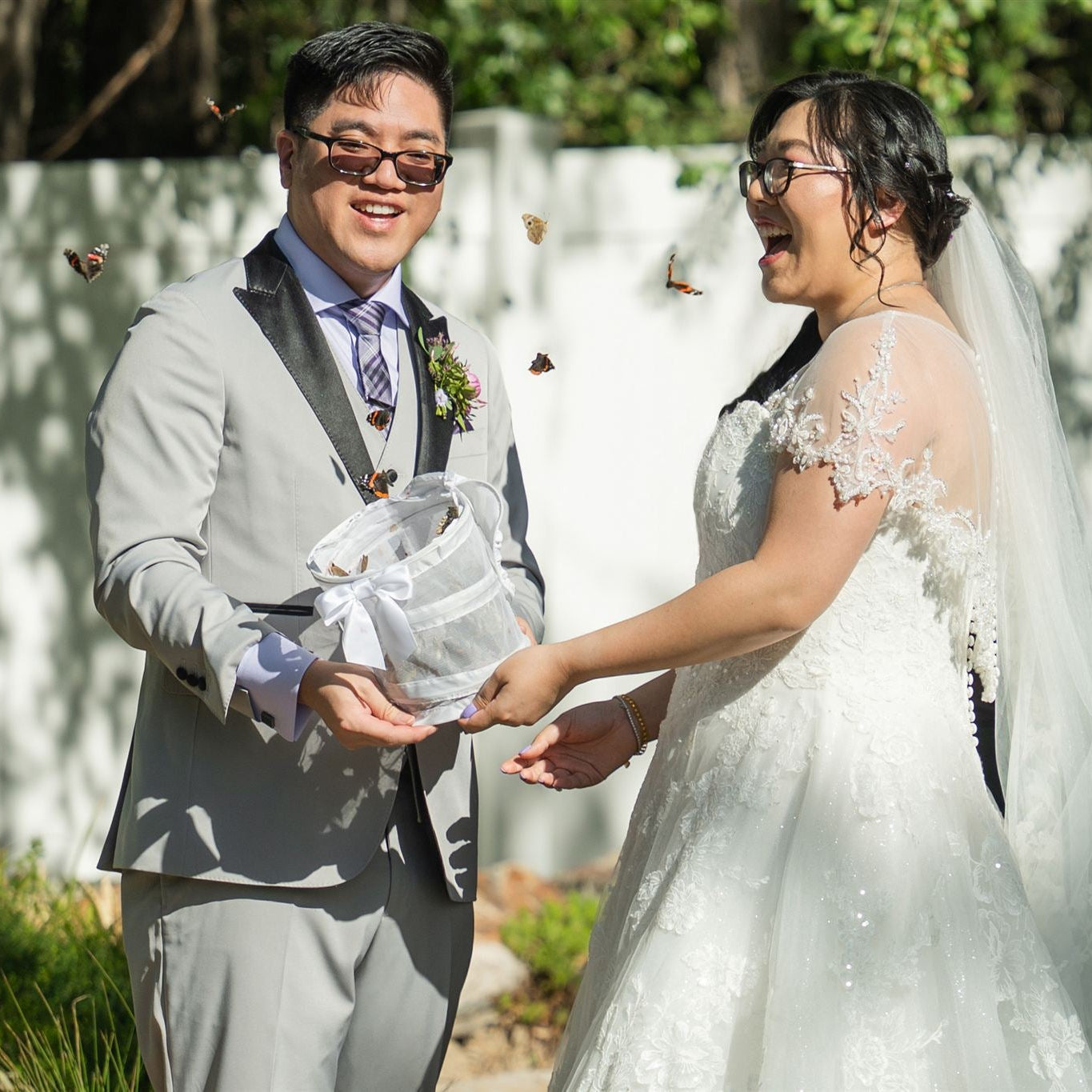 Mixed Multi-Color Butterfly Release