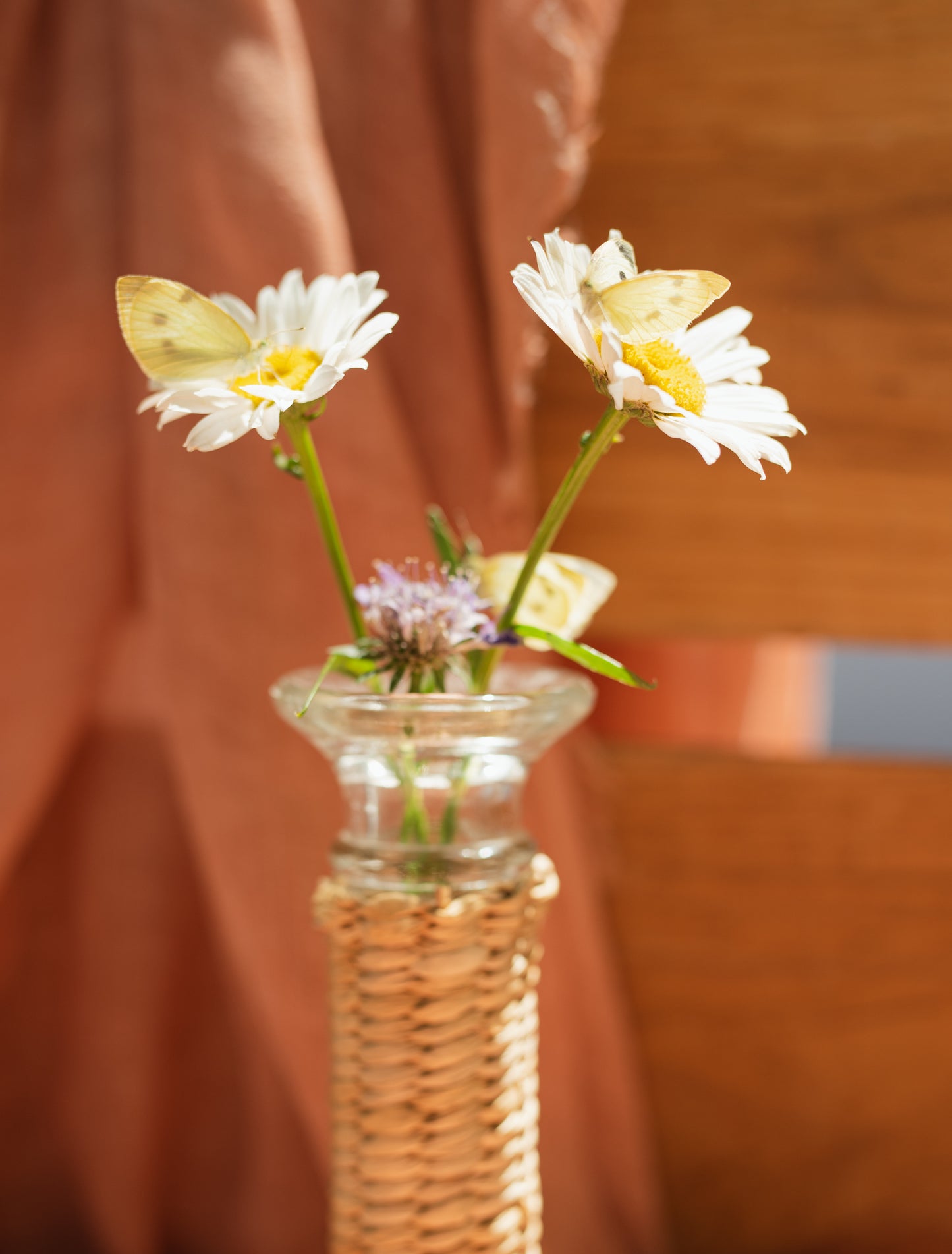 White Butterfly for Release (Single Butterfly)