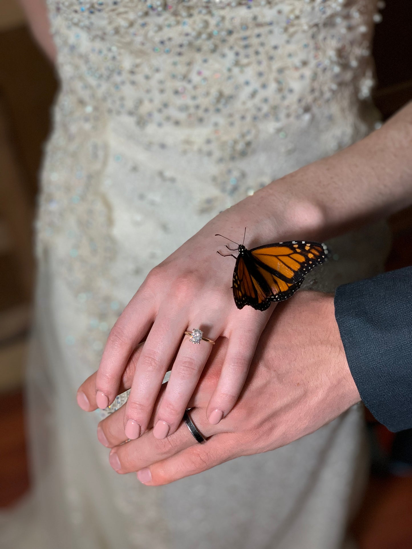 Butterflies for Wedding Deposit