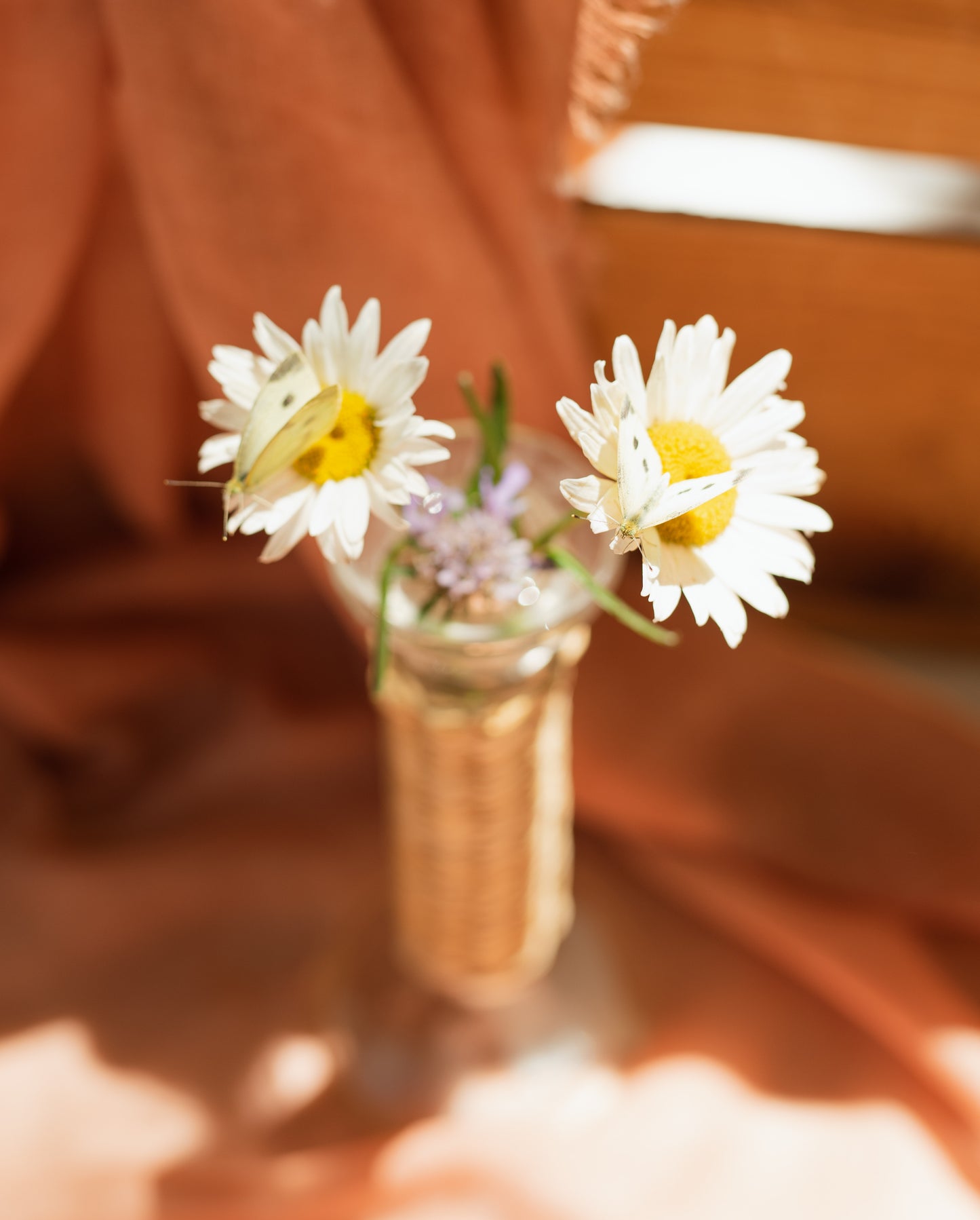 White Butterfly for Release (Single Butterfly)