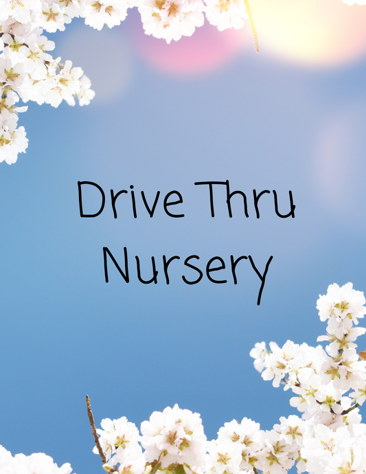 Drive Thru Nursery